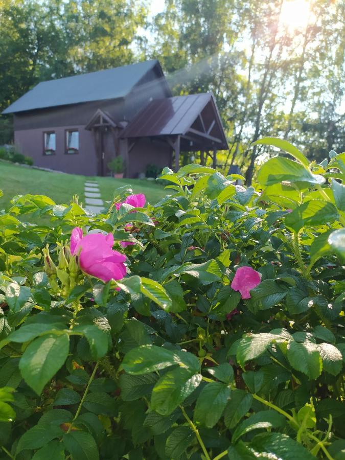 U Tomicku Hotel Paseky nad Jizerou Buitenkant foto