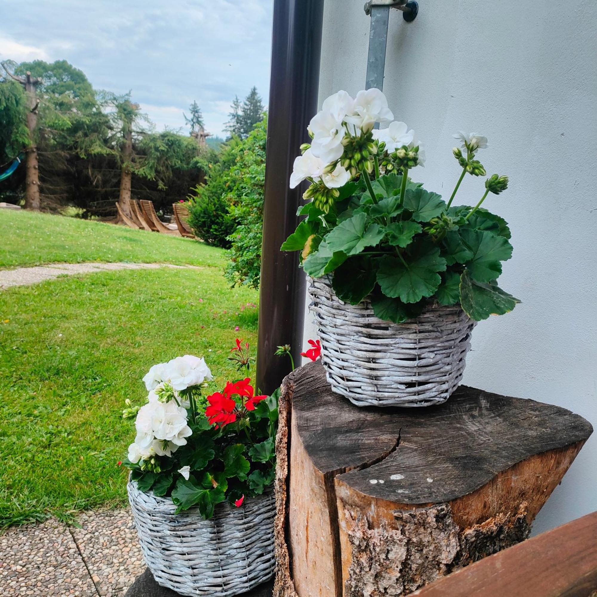 U Tomicku Hotel Paseky nad Jizerou Buitenkant foto